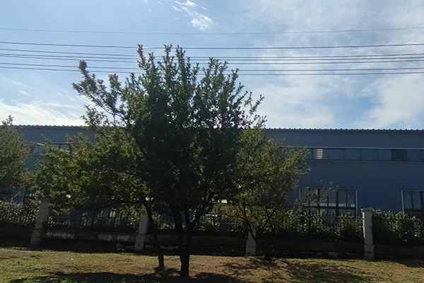 對于撫順鐵嶺沈陽彩鋼廠房的加工質(zhì)量檢測至關重要